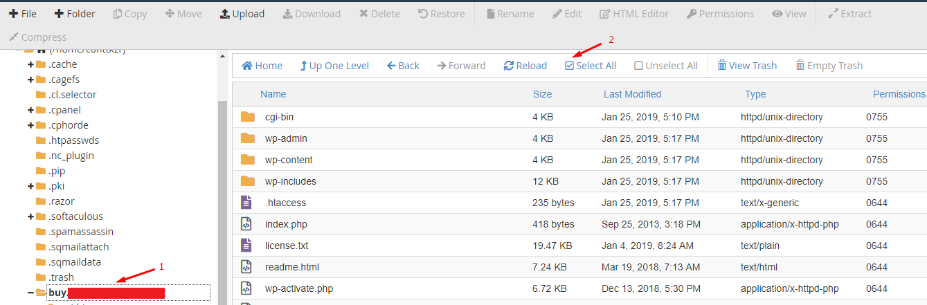 Move WordPress