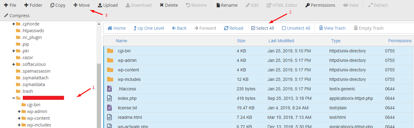WordPress Multisite