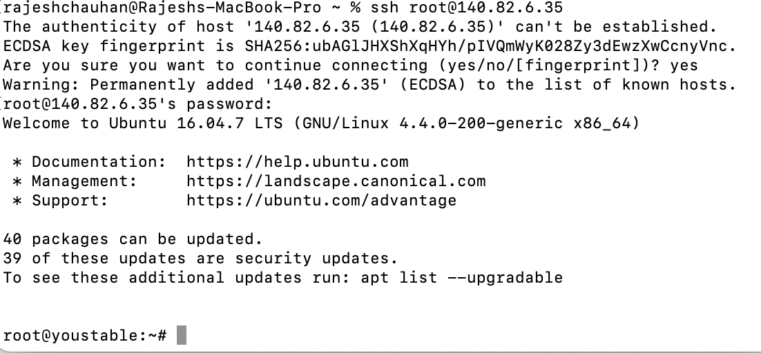 How to Setup WordPress on Ubuntu - OpenLiteSpeed, Mysql, Phpmyadmin, and LetsEncrypt SSL 1