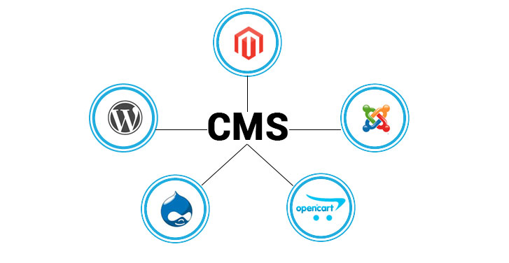 what is CMS