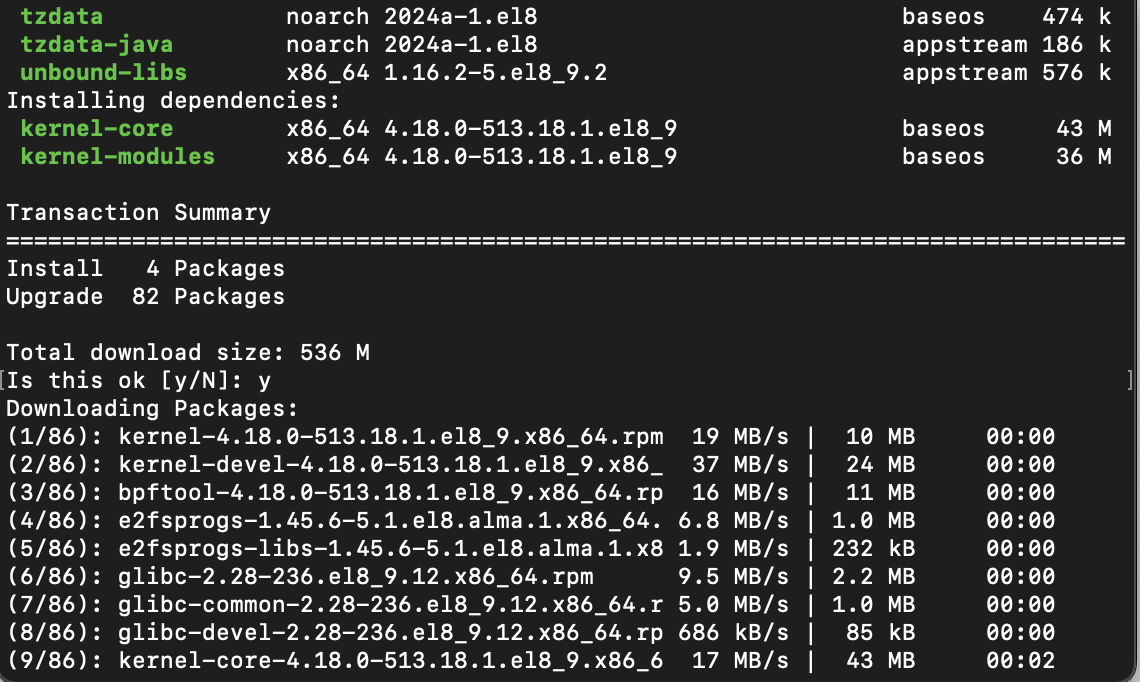 Installing CyberPanel on Ubuntu & AlmaLinux 2